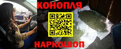сатива Кимры