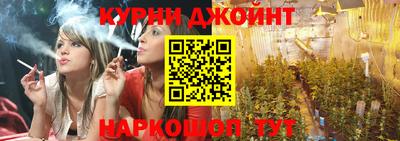 сатива Кимры