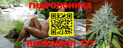 прущий лед Кингисепп