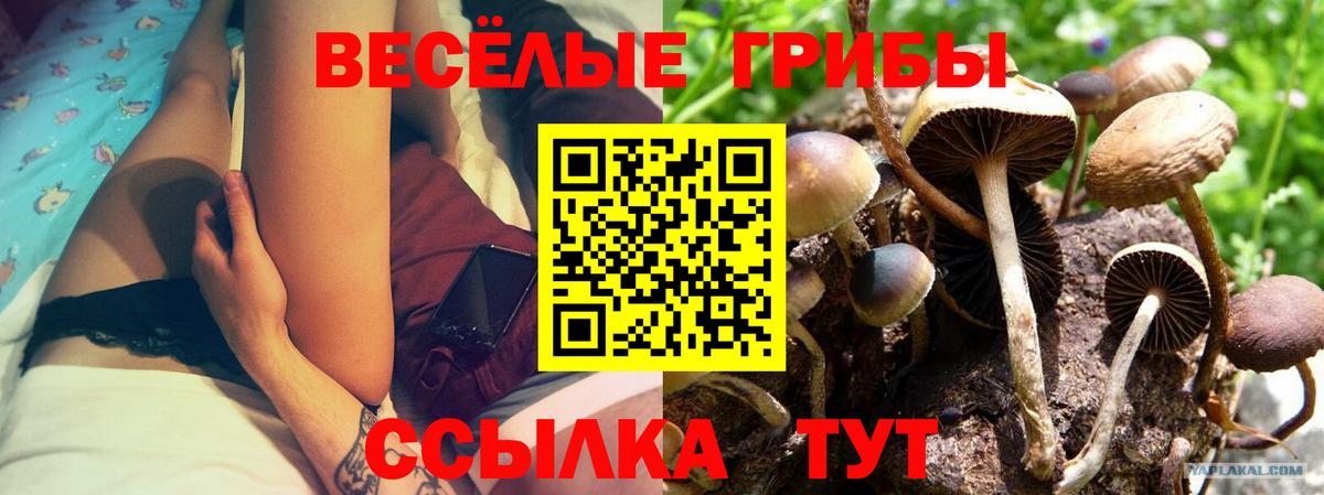 Шелехов  Галлюциногенные грибы мухоморы  Вход с VPN 